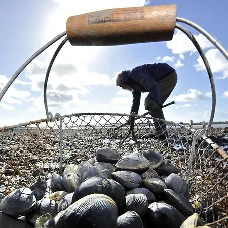 Proche De La , , 2 , Box Stationnement , Wifi 위머로우